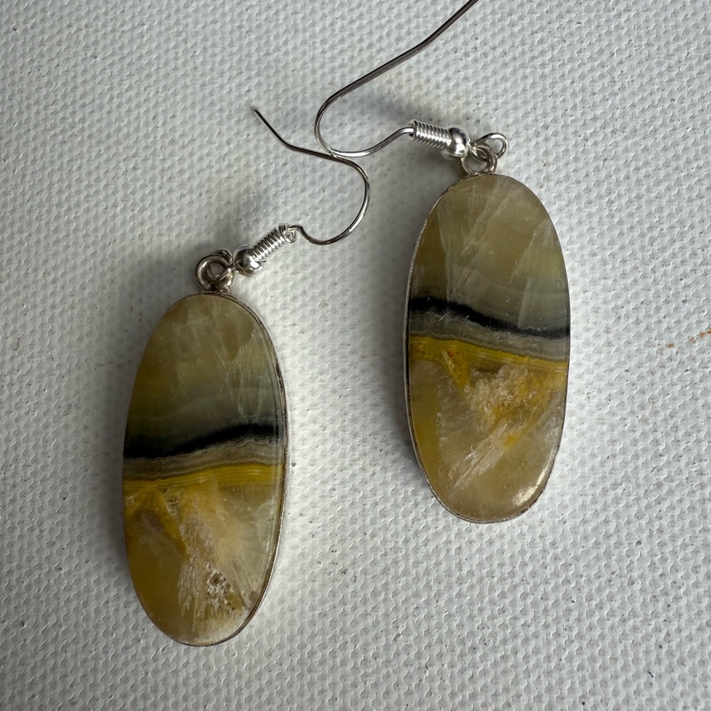 Bumblebee Jasper Dangle Oval Earrings - image 8